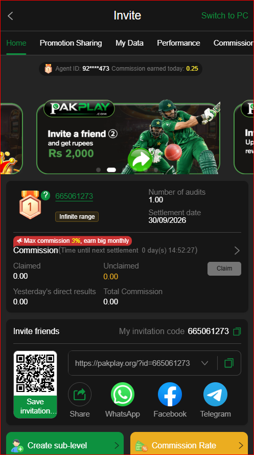 pakplay game
