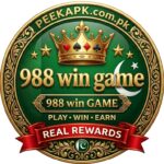 988 wi game