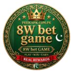 8W GAME