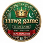 111wg game